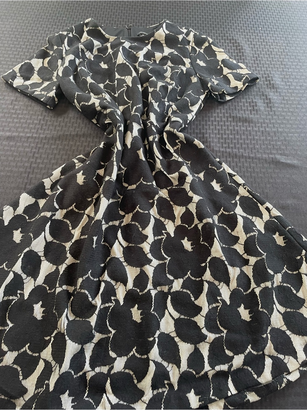 Ann Taylor Black and Cream Floral Fit-and-Flare Dress Size 10